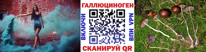 Псилоцибиновые грибы GOLDEN TEACHER  Купить  Макаров 